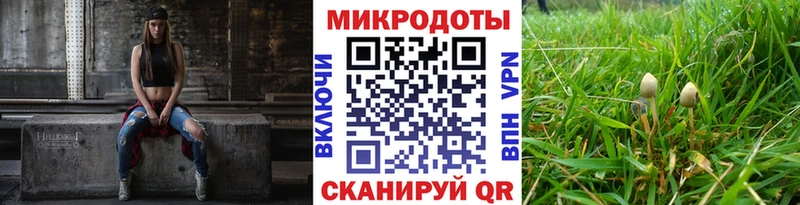 Псилоцибиновые грибы Cubensis  блэк спрут как зайти  Ардон 